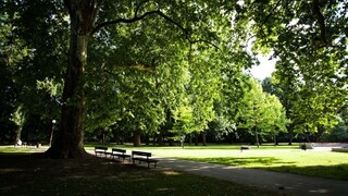 park stromy cesta lavička ilu 1140 px (SITA/Diana Černáková)